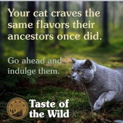 (1 แถม 1) Taste of the Wild Rocky Mountain Feline Formula – อาหารแมวสำหรับแมวทุกช่วงวัย เนื้อปลาแซลมอนและกวาง (680g)