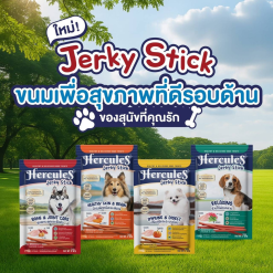 Hercules Jerky Stick – เฮอร์คิวลิส ขนมสันในไก่แบบแท่งสำหรับสุนัขทุกช่วงวัย (70g.)