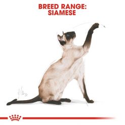 Royal Canin อาหารแมวแบบเม็ด สูตร Adult Siamese สำหรับแมวโตพันธุ์วิเชียรมาศอายุ 1  ปีขึ้นไป-2kg