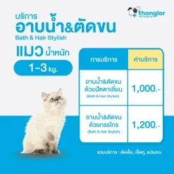(E-Voucher) Thonglor PetCare Shower + Hair Cut Cats – บริการอาบน้ำ ตัดขน ตัดเล็บ เช็ดหู แปรงขน สำหรับแมว