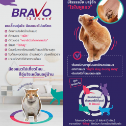 Bravecto Plus Spot-On For Cat – บราเวคโต้ พลัส ยาหยดกำจัดเห็บหมัด สำหรับแมว (1 Tube)