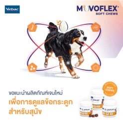 Virbac Movoflex Soft Chews for Dogs – เวอร์แบค โมโวเฟล็กซ์ ผลิตภัณฑ์ดูแลข้อต่อของสุนัข (30 เม็ด)
