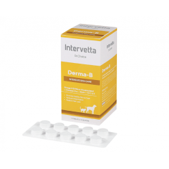 Dr.Choice Derma-B – ดร.ช้อยส์ เดอมา-บี บำรุงผิวหนังและเส้นขนสำหรับสุนัขและแมว (100 เม็ด)