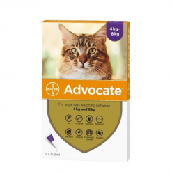 Advocate Spot On for Cats – แอดโวเคท ยาหยอดป้องกันและกำจัดเห็บหมัดสำหรับแมว