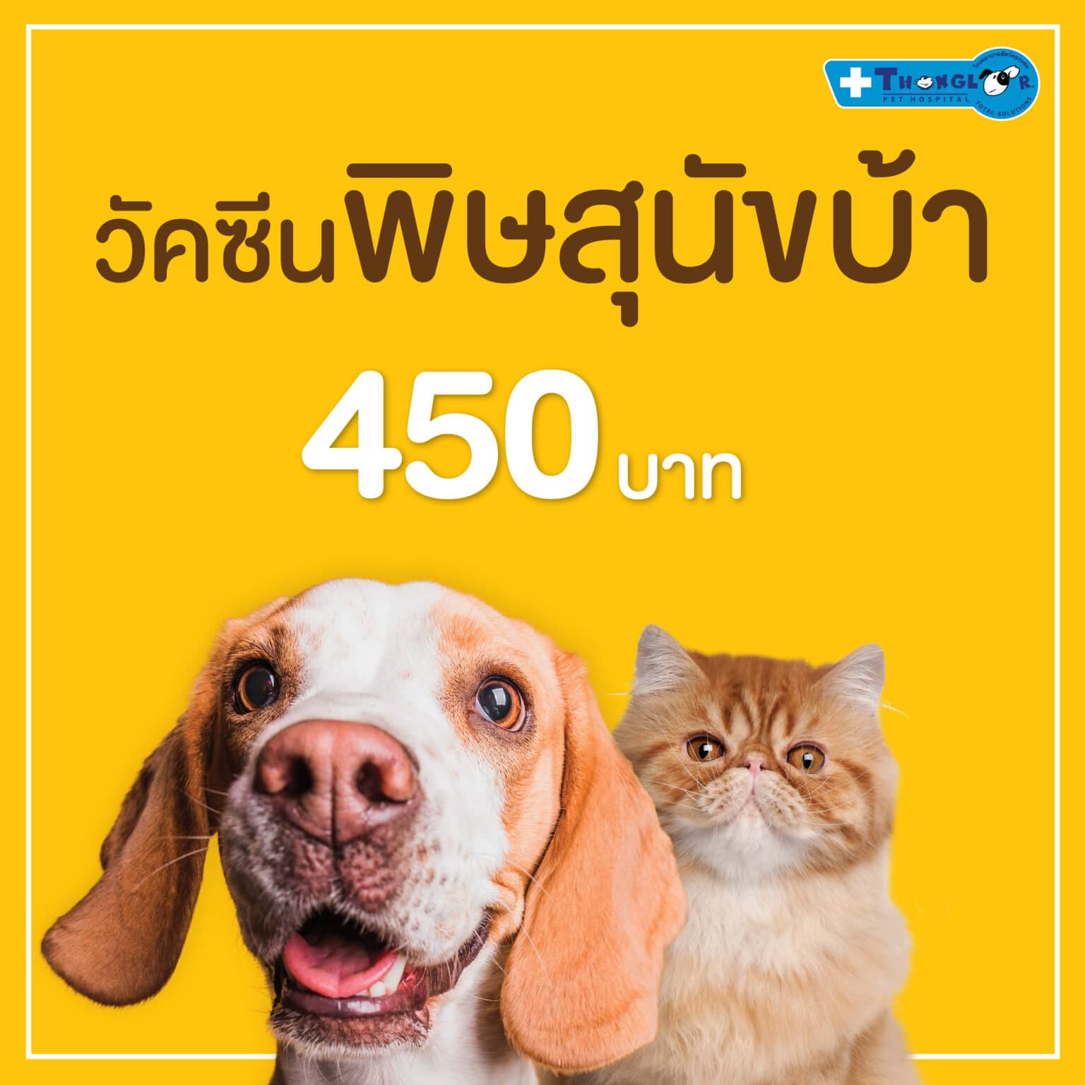 My Image 7