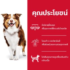 Hill’s Science Diet Adult 7+ อาหารชนิดเม็ด ฮิลล์ สูตรไก่ สำหรับสุนัขโตอายุมากกว่า 7 ปี 12 กก