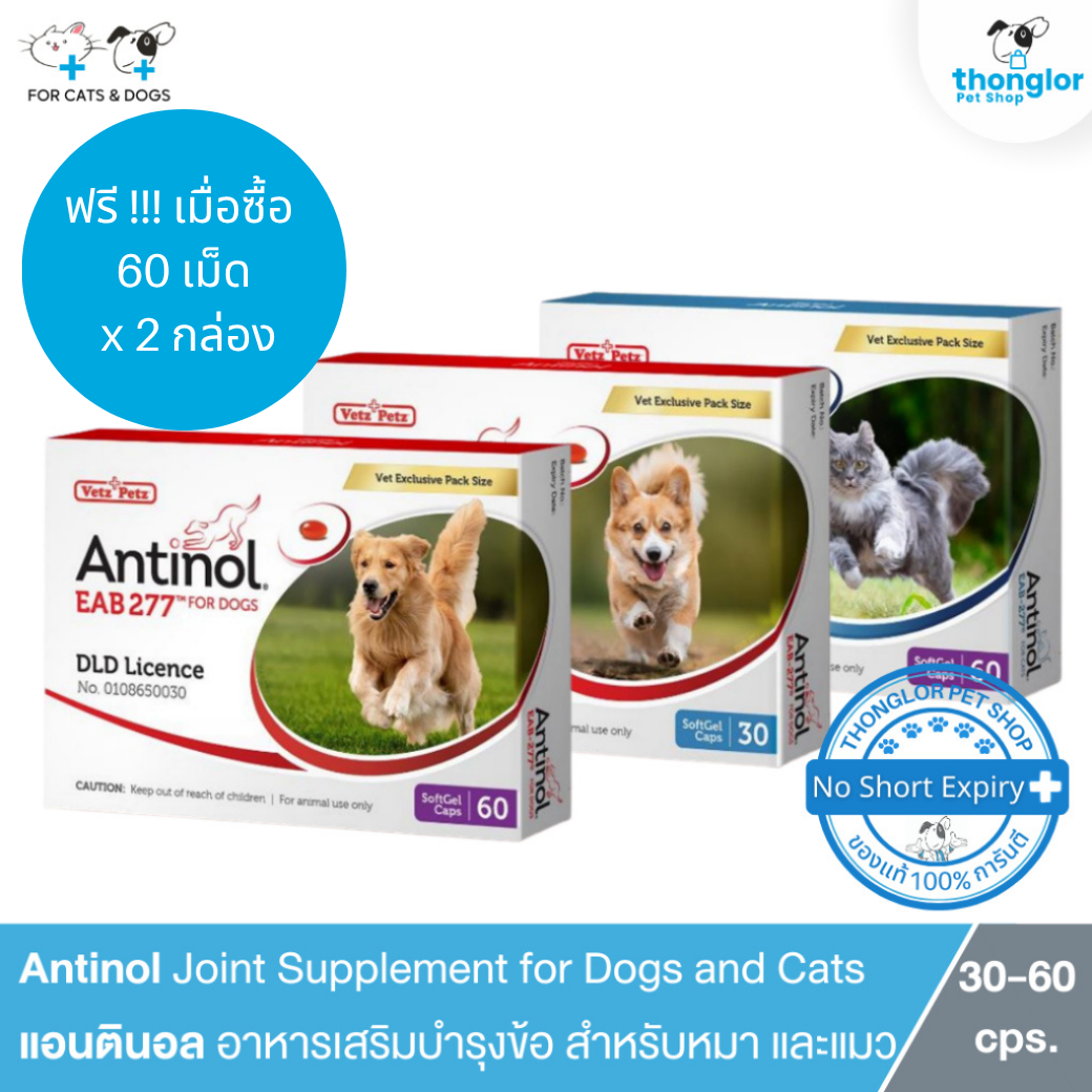 ( ฟรี15เม็ด !!! เมื่อซื้อ 60 เม็ด  2 กล่อง ) Vetz Petz Antinol - แอนทินอล อาหารเสริมไขมัน บำรุงข้อ สำหรับสุนัข และ แมว - Image 2