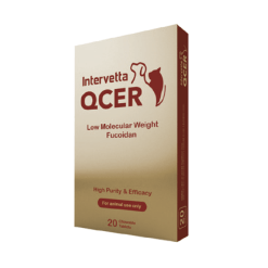 Intervetta QCER คิวเซอร์ ผลิตภัณฑ์ต่อต้านมะเร็งและบำรุงร่างกายสำหรับสุนัขและแมว (20 เม็ด)