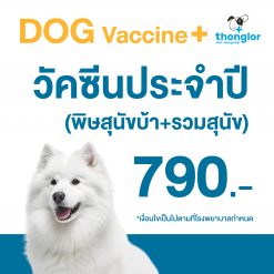คูปอง Vaccine วัคซีนประจำปี (พิษสุนัขบ้า+รวมสุนัข) เหมา 2 เข็ม