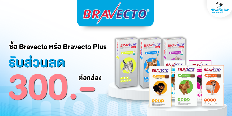 bravecto1 : 