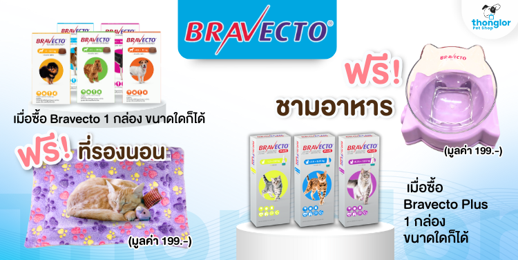 bravecto2 : 