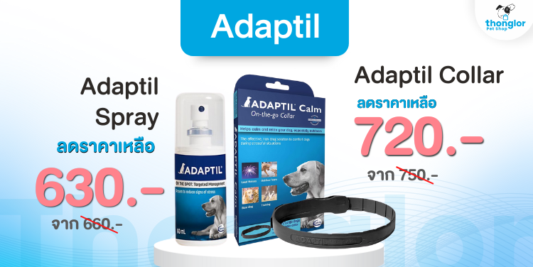 adaptil : 