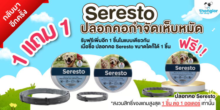 Campaign_Seresto 8.8