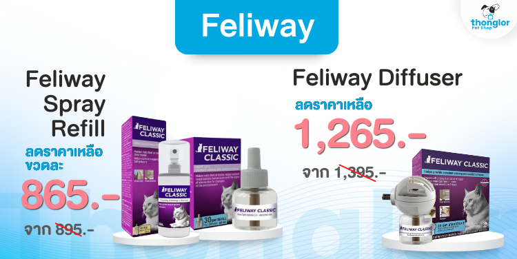 feliway : 