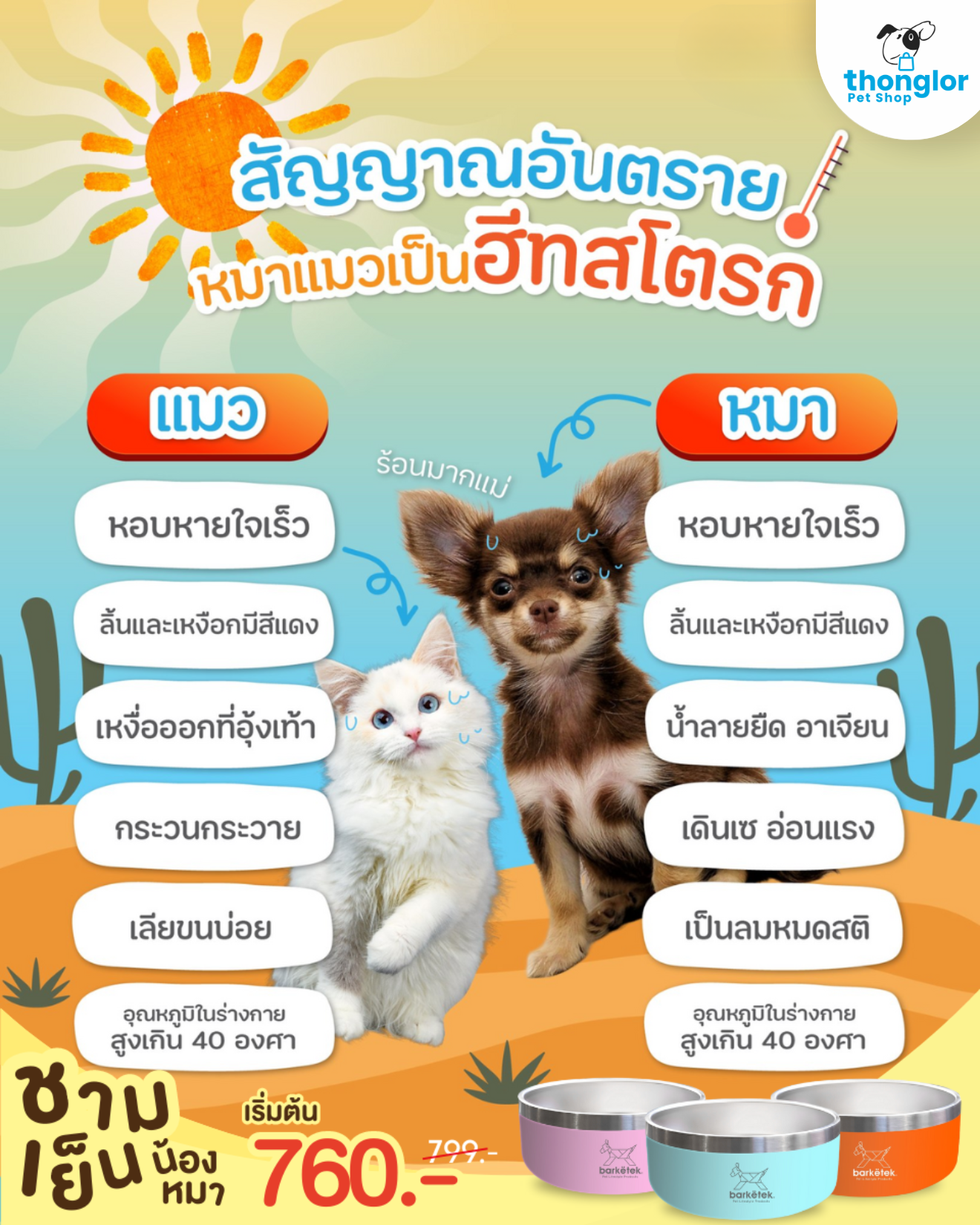 You are currently viewing สัญญาณอันตรายหมาแมวเป็น “ฮีทสโตรก” วิธีดูที่เจ้าของไม่ควรมองข้าม!