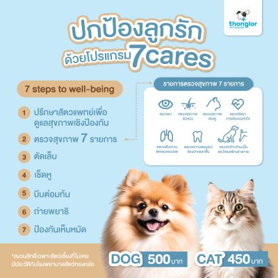 ปกป้องลูกรักด้วยโปรแกรม 7 cares (7 Steps to well-being)