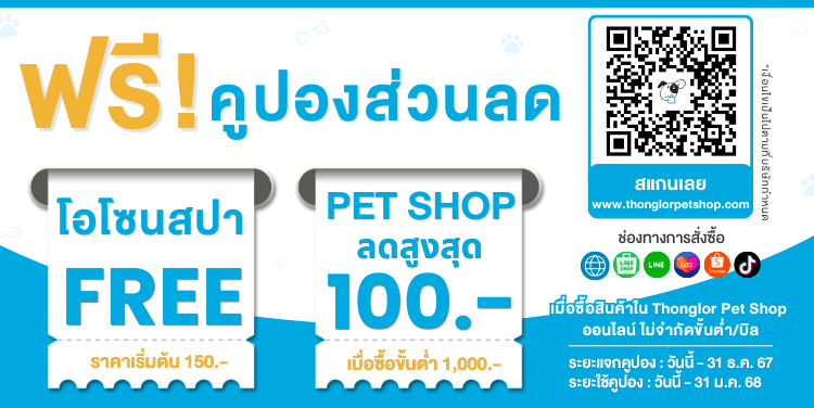 ฟรีตรวจสุขภาพ : 