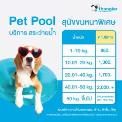 (E-Voucher) Pet pool สระว่ายน้ำสุนัขขน 2 ชั้น โดยโรงพยาบาลสัตว์ทองหล่อ