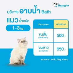 (E-Voucher) Thonglor Pet Care Bath & Grooming_Cats – บริการอาบน้ำ ตัดเล็บ เช็ดหู แปรงขน สำหรับแมว