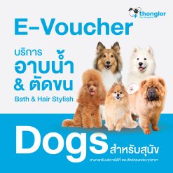 (E-Voucher) Thonglor Pet Care Shower + Hair Cut Dogs บริการอาบน้ำ ตัดขน ตัดเล็บ เช็ดหู แปรงขน สำหรับสุนัข