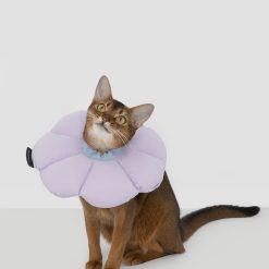 Dr.Choice Flower Shape Collar ด๊อกเตอร์ ช๊อยส์ ปลอกคอกันเลียรูปดอกไม้สำหรับสัตว์เลี้ยง