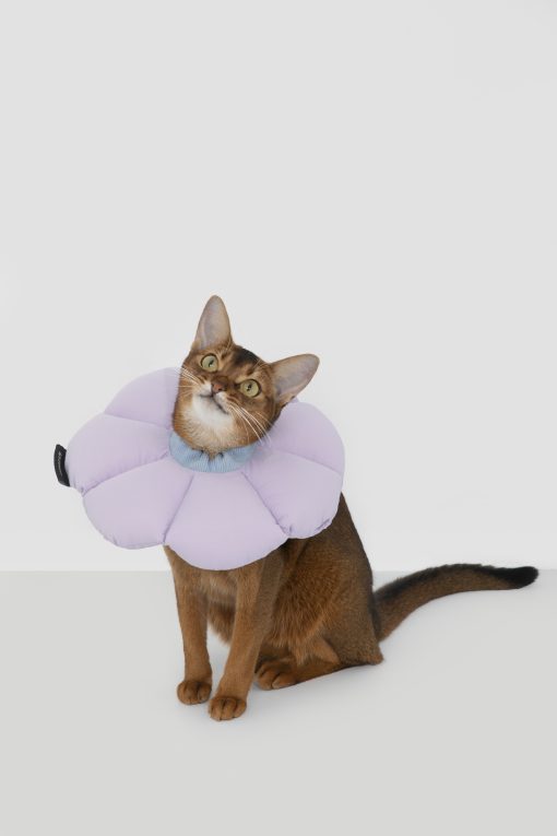 Dr.Choice Flower Shape Collar ด๊อกเตอร์ ช๊อยส์ ปลอกคอกันเลียรูปดอกไม้สำหรับสัตว์เลี้ยง