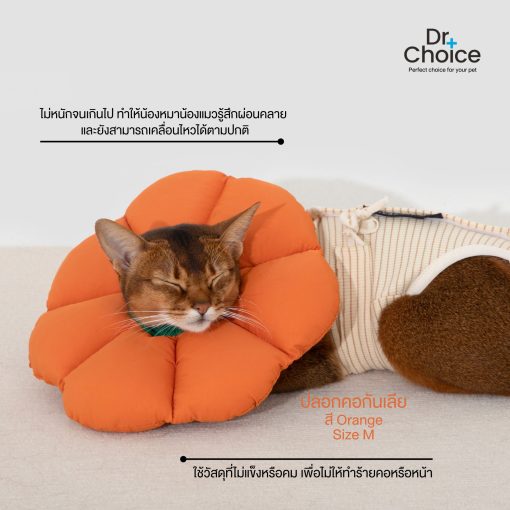 Dr.Choice Flower Shape Collar ด๊อกเตอร์ ช๊อยส์ ปลอกคอกันเลียรูปดอกไม้สำหรับสัตว์เลี้ยง - Image 3