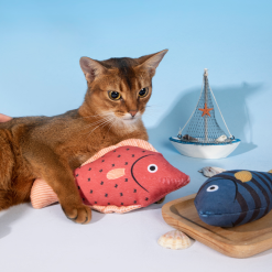 Dr. Choice Interactive Cat Toys – ด๊อกเตอร์ ช๊อยส์ ของเล่นเสริมพัฒนาการสำหรับแมว