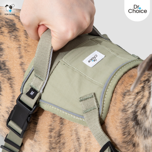 Dr.Choice Valley Harness and Landyard - ด๊อกเตอร์ ช๊อยส์ ชุดสายจูงและสายรัดอกสำหรับสุนัข - Image 4