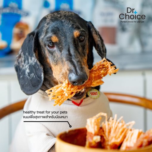 Dr.Choice Chicken Jerky Dog Snack - ด๊อกเตอร์ ช๊อยส์ ขนมเนื้อสันในไก่แท้อบแห้ง เกรดพรีเมียม โปรตีนสูง ไขมันต่ำ สำหรับสุนัข รวมชนิด - Image 6