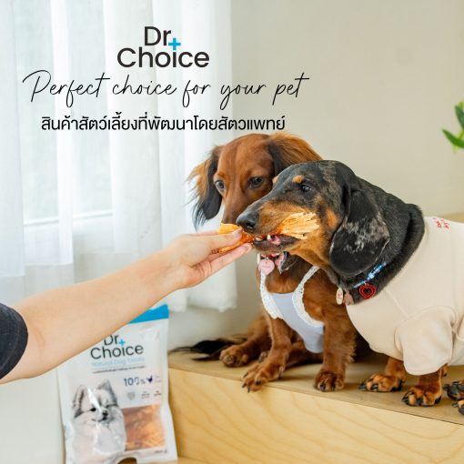 Dr.Choice Chicken Jerky Dog Snack - ด๊อกเตอร์ ช๊อยส์ ขนมเนื้อสันในไก่แท้อบแห้ง เกรดพรีเมียม โปรตีนสูง ไขมันต่ำ สำหรับสุนัข รวมชนิด - Image 7