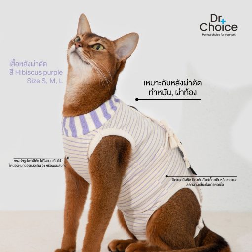 Dr.Choice Anti Loosening Surgical Suit - ด๊อกเตอร์ ช๊อยส์ เสื้อป้องกันเลียแผลสัตว์เลี้ยงหลังผ่าตัด (S-L) - Image 4